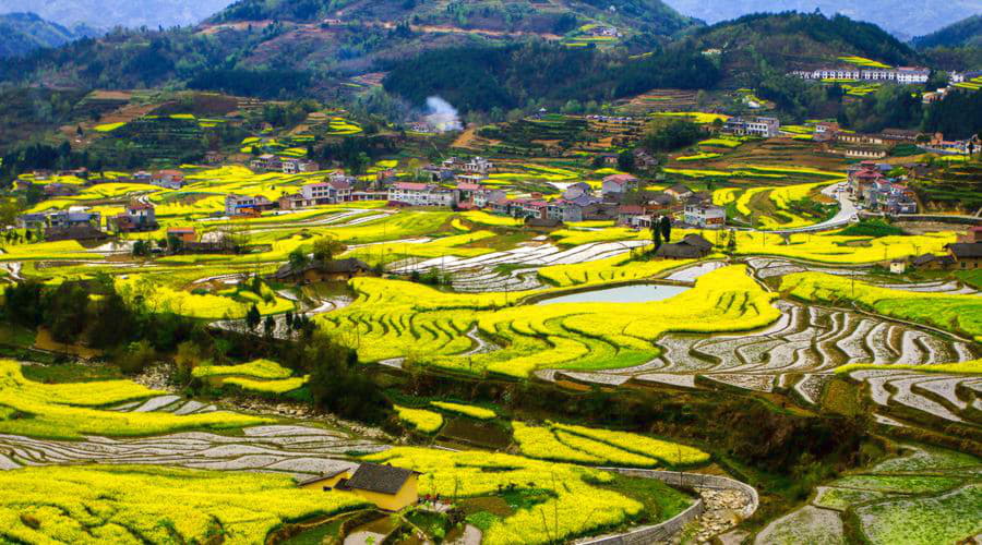 Nous offrons une sélection diversifiée d'options de location de voitures à Hanzhong.